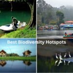 Top 9 Tourist Attractions in Rishikesh for Adventure and Relaxation