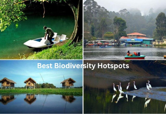 Best Biodiversity Hotspots